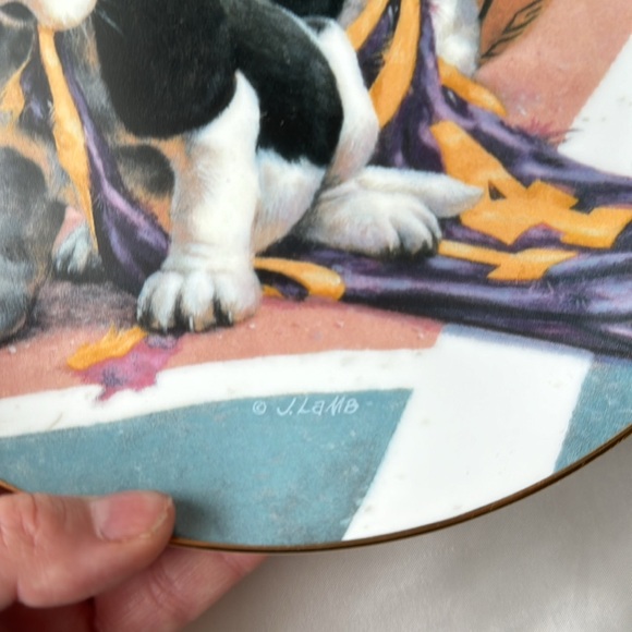 Bassetball 🏀🍽️ Jim Lamb / Good Sports - Picture 2 of 3